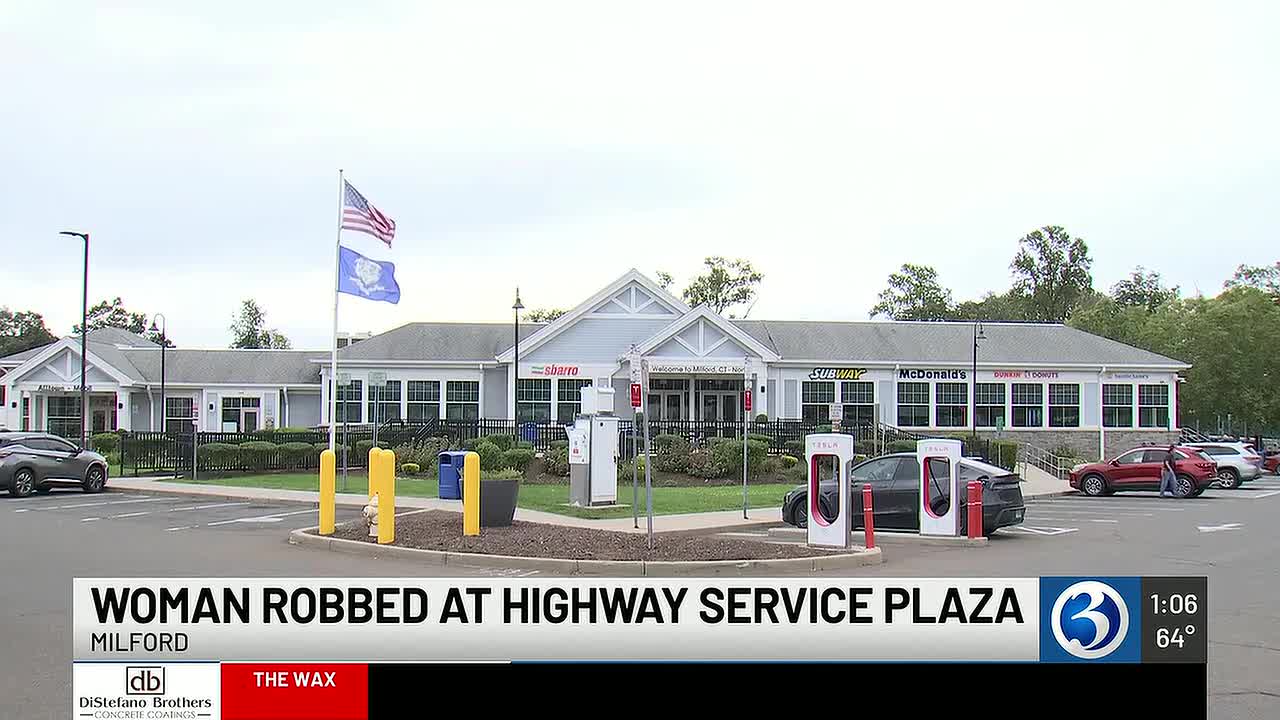 Woman Robbed of Purse and Phone at Milford Service Plaza