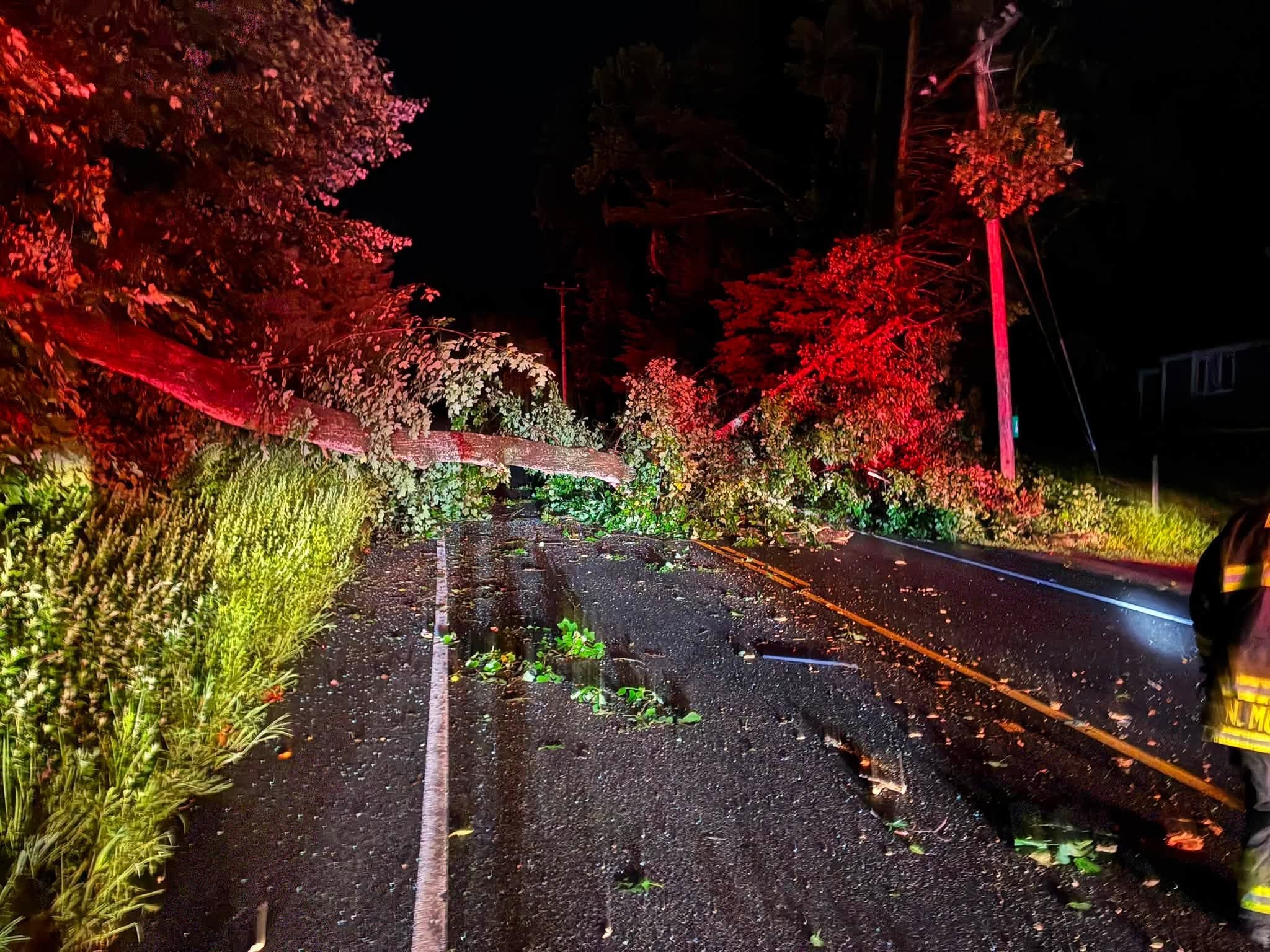 Downed Tree Causes Single-Vehicle Crash, Traps Driver in East Haddam