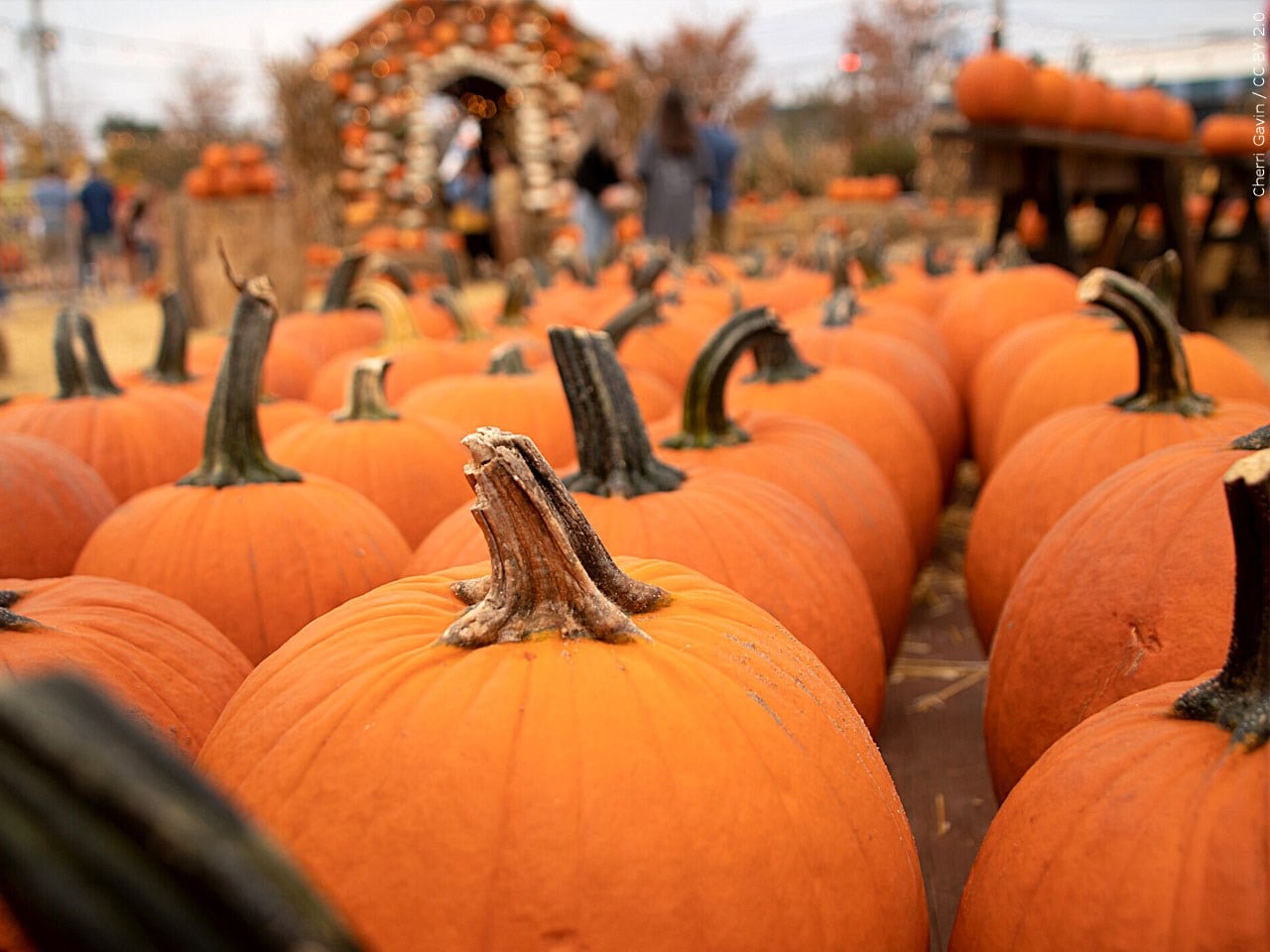 Connecticut Unveils Fall 2026 Event Guide Featuring Family Activities and Halloween Attractions