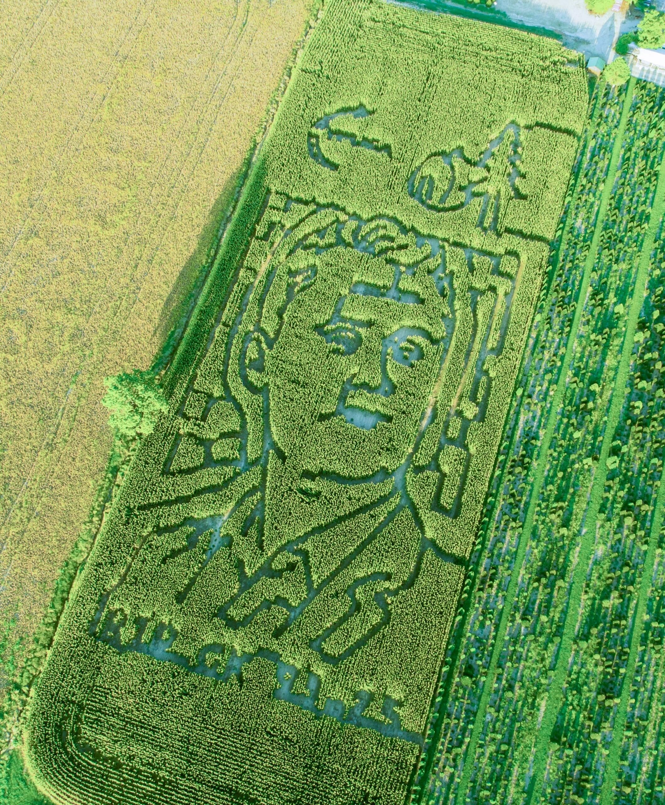 Goebel Farms Addresses Criticism Over Charlie Kirk Corn Maze Feature