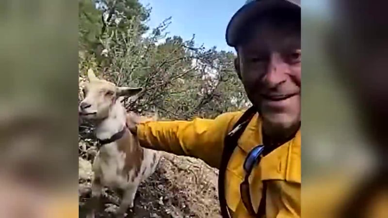 While crews worked to keep a fire in Colorado from growing out of control, they got an...