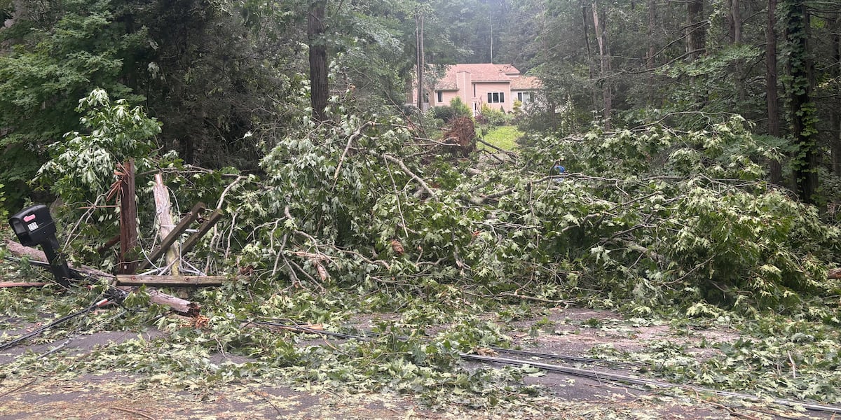 More than 80 percent of Harwinton still without power more than 24 hours after Fourth of July storms