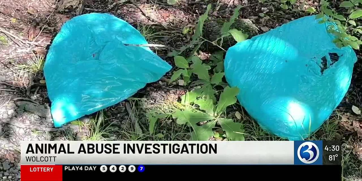 Reward grows in Wolcott pitbull dumping case