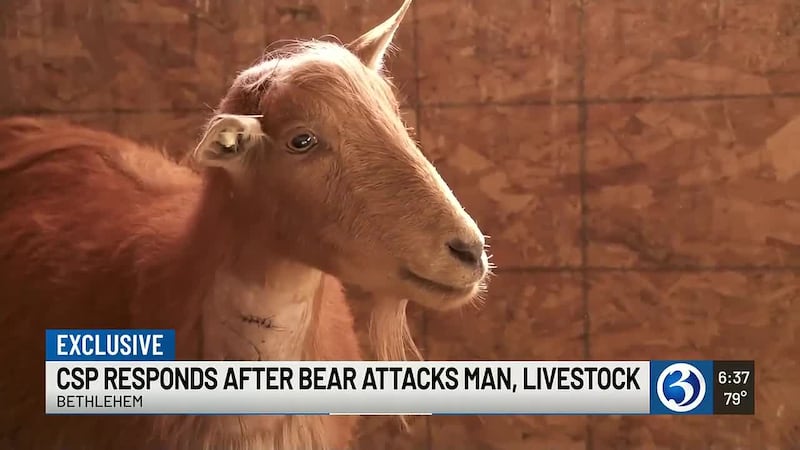 A Bethlehem man says he survived a 40-minute standoff with a bear that attacked one of his pet...