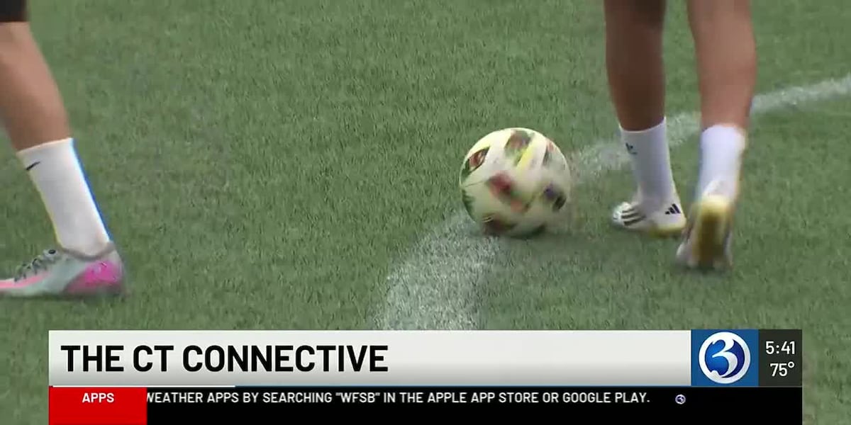 Group of Connecticut business leaders and influencers team up to combat Connecticut slander online