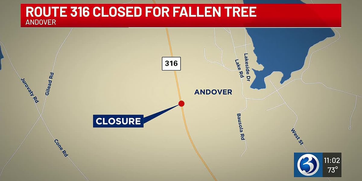 Storm brings down tree, wires in Andover
