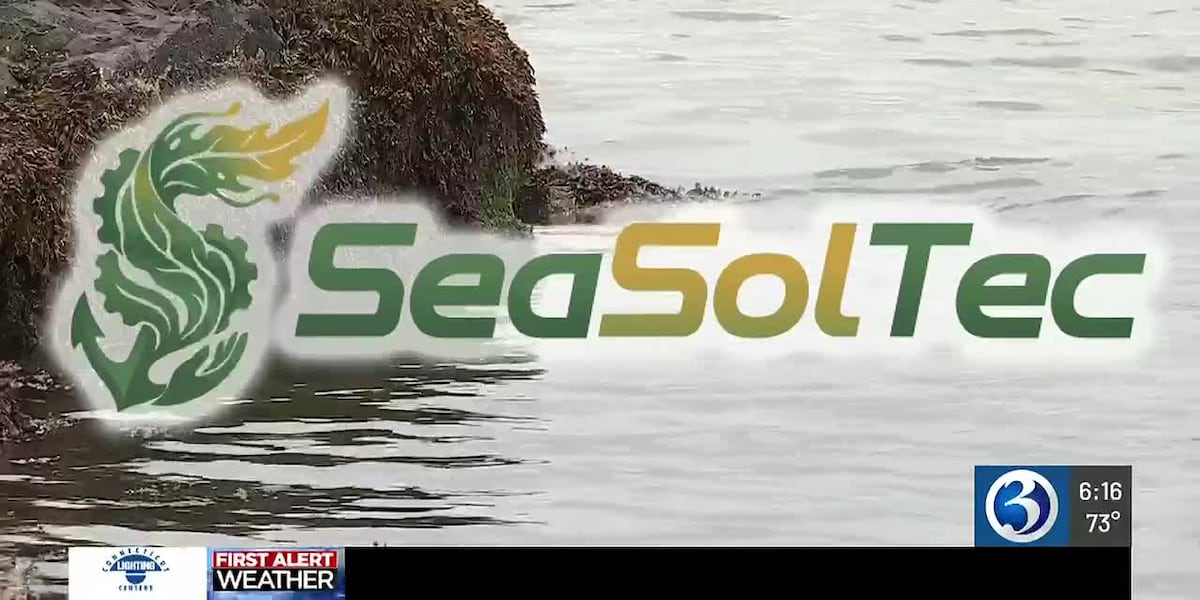 UConn grad develops seaweed coating to replace plastic in food packaging