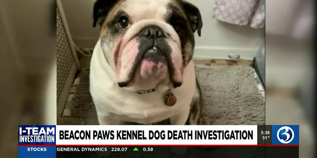 Kennel Operator Beacon Falls kennel operator faces animal cruelty charges following dog ...