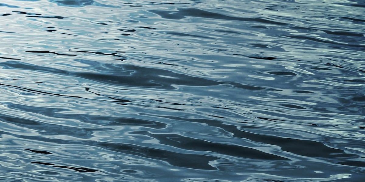 Connecticut man dies after be pulled from pond in Cape Cod