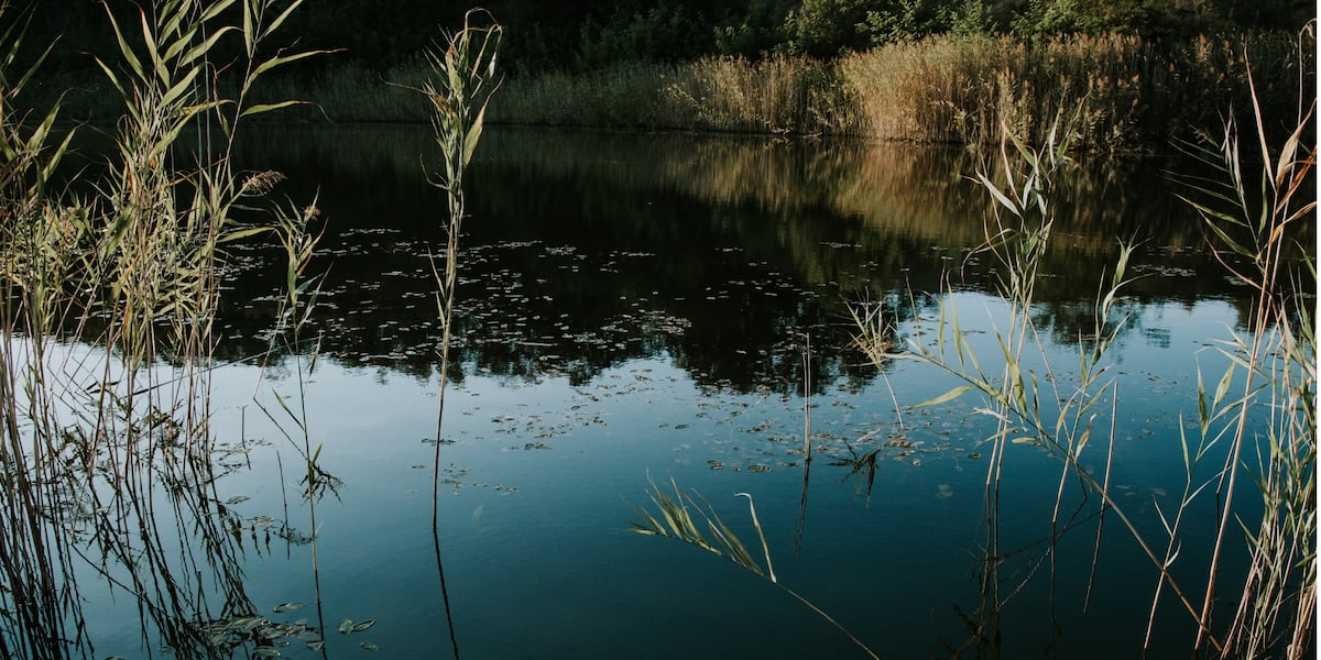 Body of 65-year-old man recovered from Torrington pond