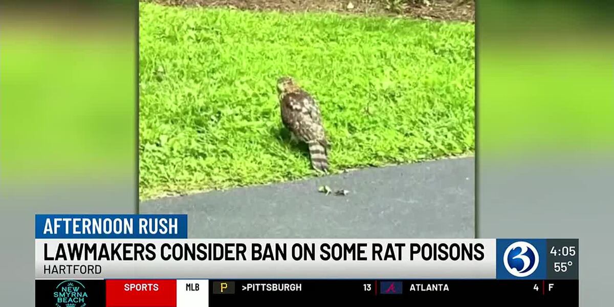 Lawmakers are trying to ban rat poisons