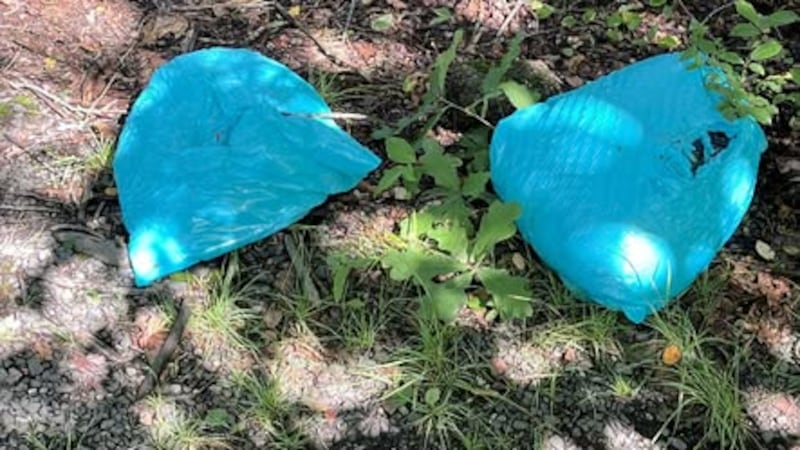 Someone dumped two dead pit bulls along a walking trail in Wolcott, police said.