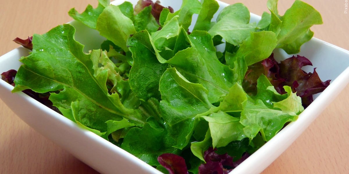 Chopt Finger Customer sues Chopt eatery chain over salad that she says contained a ...
