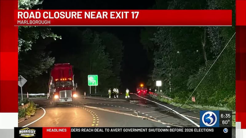 Marlborough crash