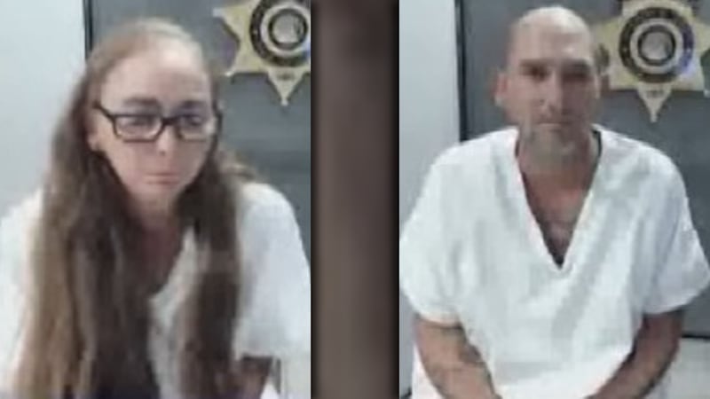 Danielle Lee-Sharp and Michael Menzie are facing child abuse charges.