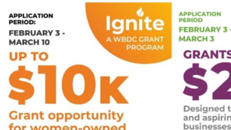 Women’s Business Development Council accepts applications for two grant programs