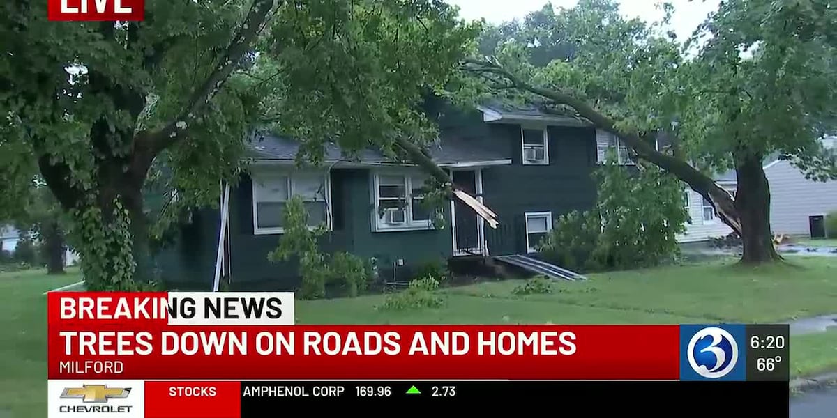 Trees fall on home in Milford