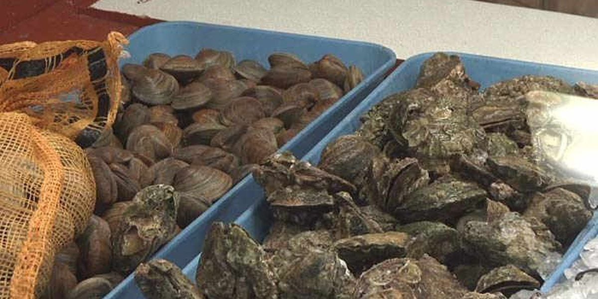 Connecticut health officials warn of hepatitis A outbreak linked to shellfish - WFSB