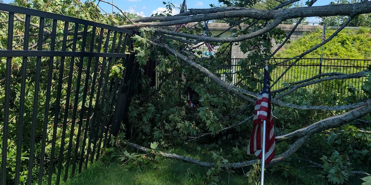 ‘The only one in the world like it:' Storm damages National Iwo Jima Memorial, extinguishing eternal flame for first time in 31 years