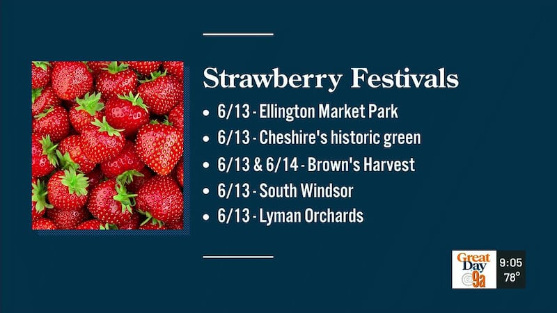 Connecticut offers cultural celebrations, food festivals and opportunities to explore the...