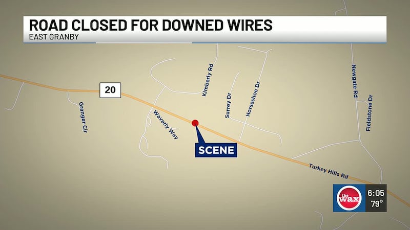 A tree fell on wires and started smoking, causing the closure of Route 20 on Sunday afternoon,...