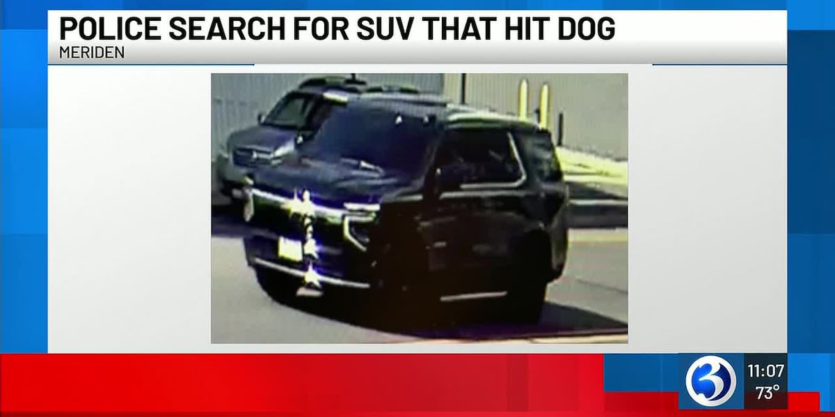 Meriden police searching for driver that struck and killed dog in a hit-and-run