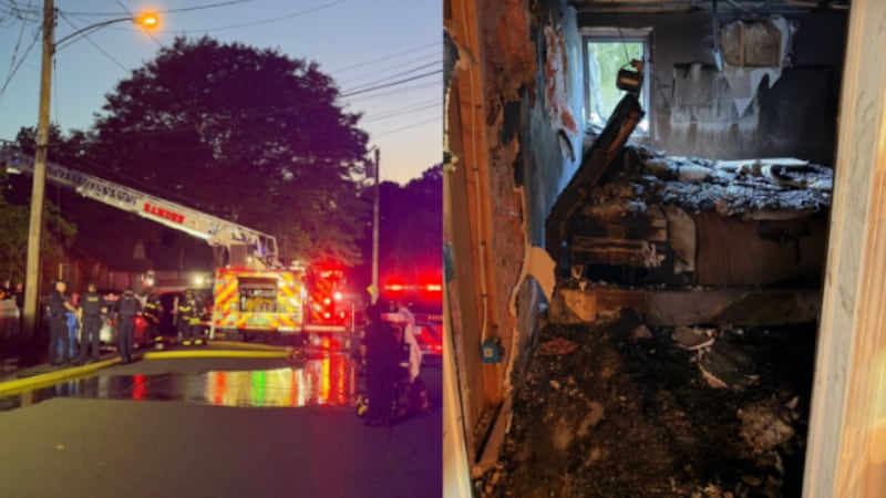 Hamden firefighters rescued a dog from a basement fire on early Saturday morning that...