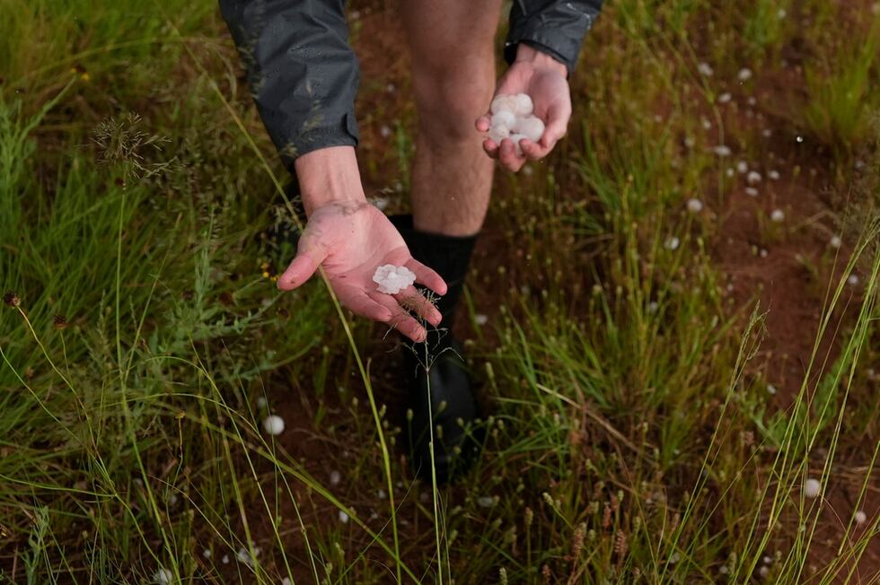FILE - Tony Illenden, a member of Northern Illinois University's Husky Hail Hunter team, picks...