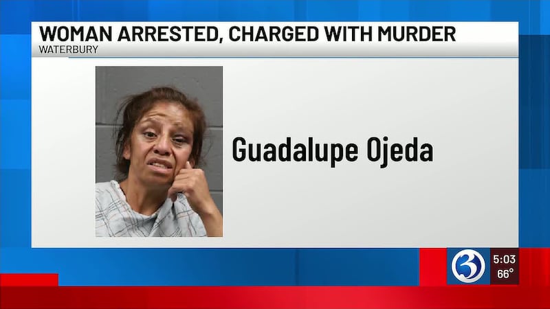 Waterbury woman charged with murder after man found dead at Cherry Avenue apartment