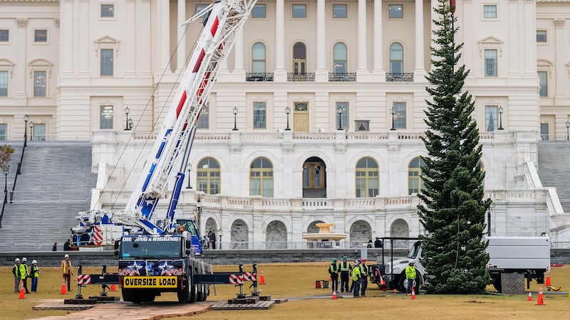 The Capitol Christmas Tree, a 53-foot red fir, arrives to the U.S. Capitol from the...