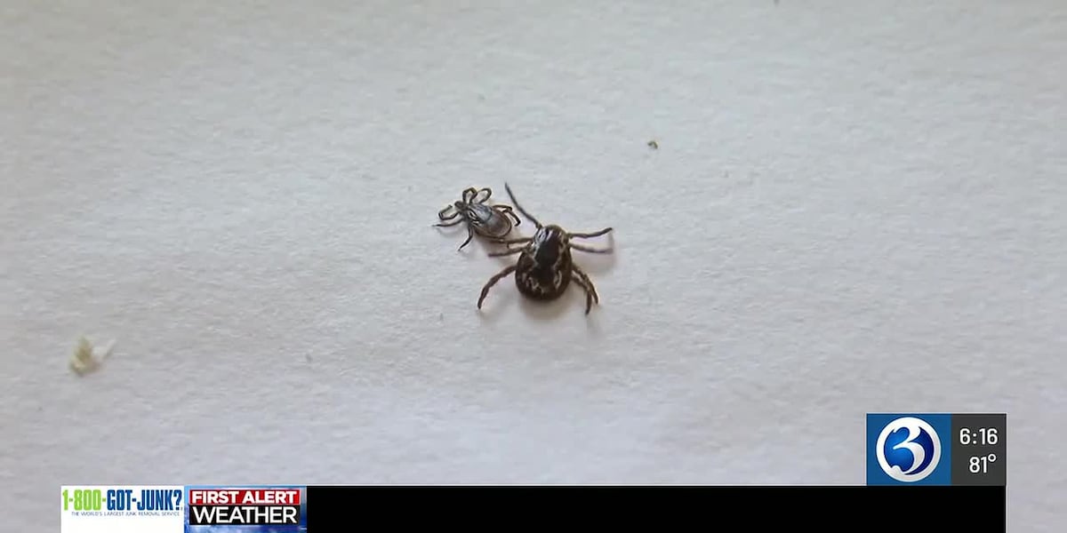 Connecticut sees surge in ticks, state urges residents to check themselves
