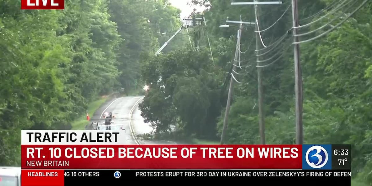 Overnight storm downs tree, cuts power to hundreds of residents in Avon