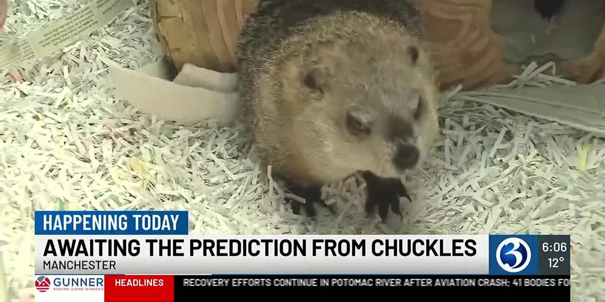 Spring Chuckle Chuckles the Groundhog declares early spring in 2025
