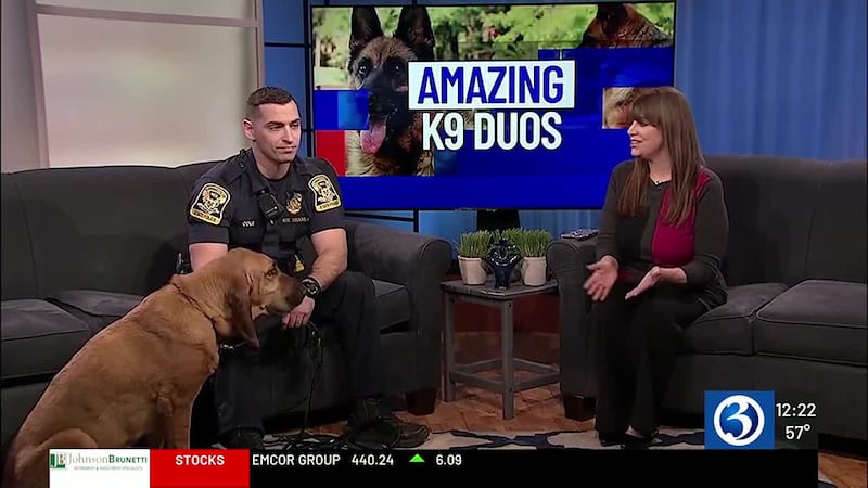 K9 Ribbi Amazing K9 Duos