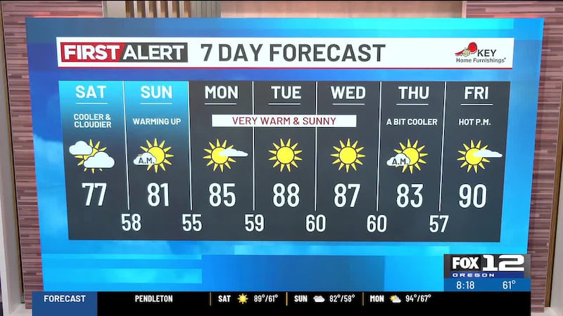 Here is the weather forecast for the morning of Saturday, July 11, 2026.