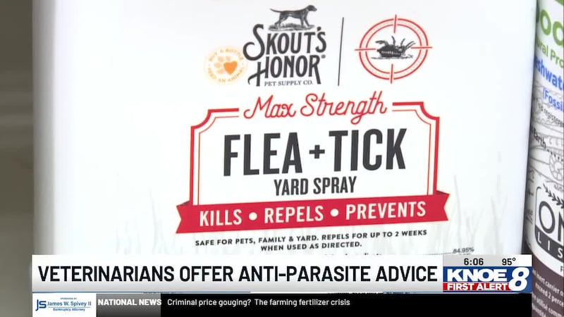 Flea and tick season is ramping up, and veterinarians say consistent parasite prevention can...