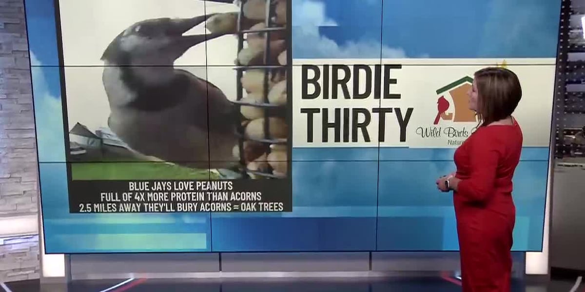 BIRDIE THIRTY: