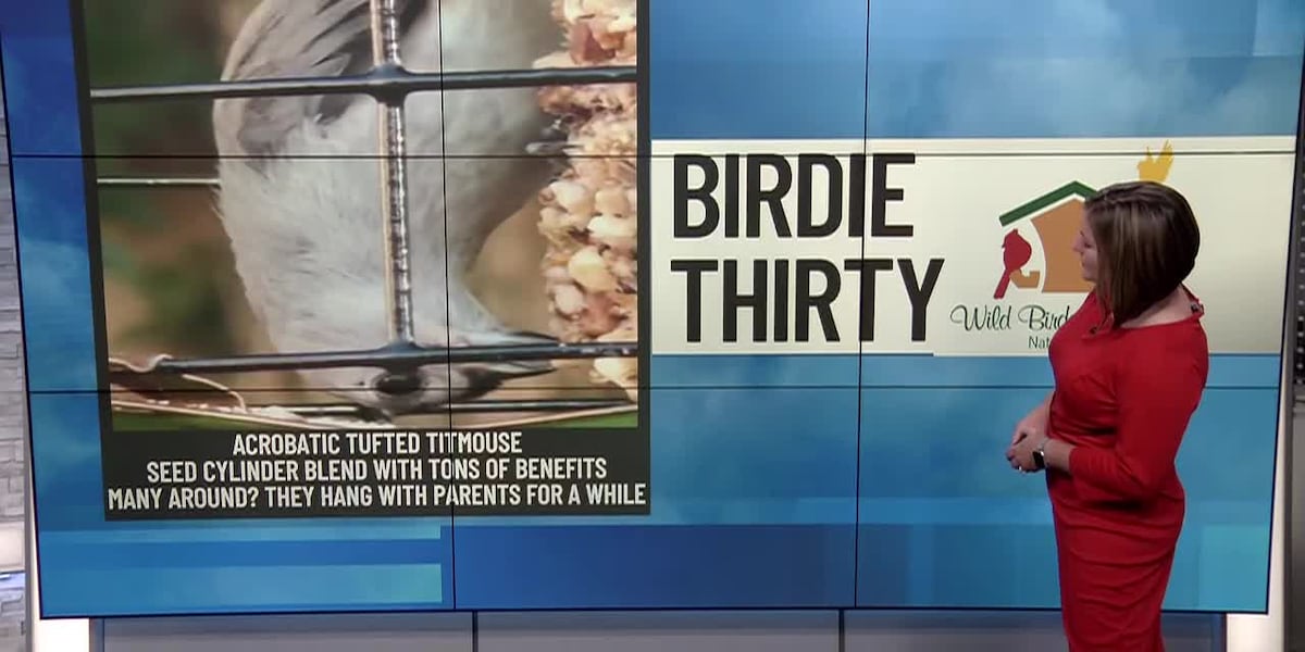 BIRDIE THIRTY: