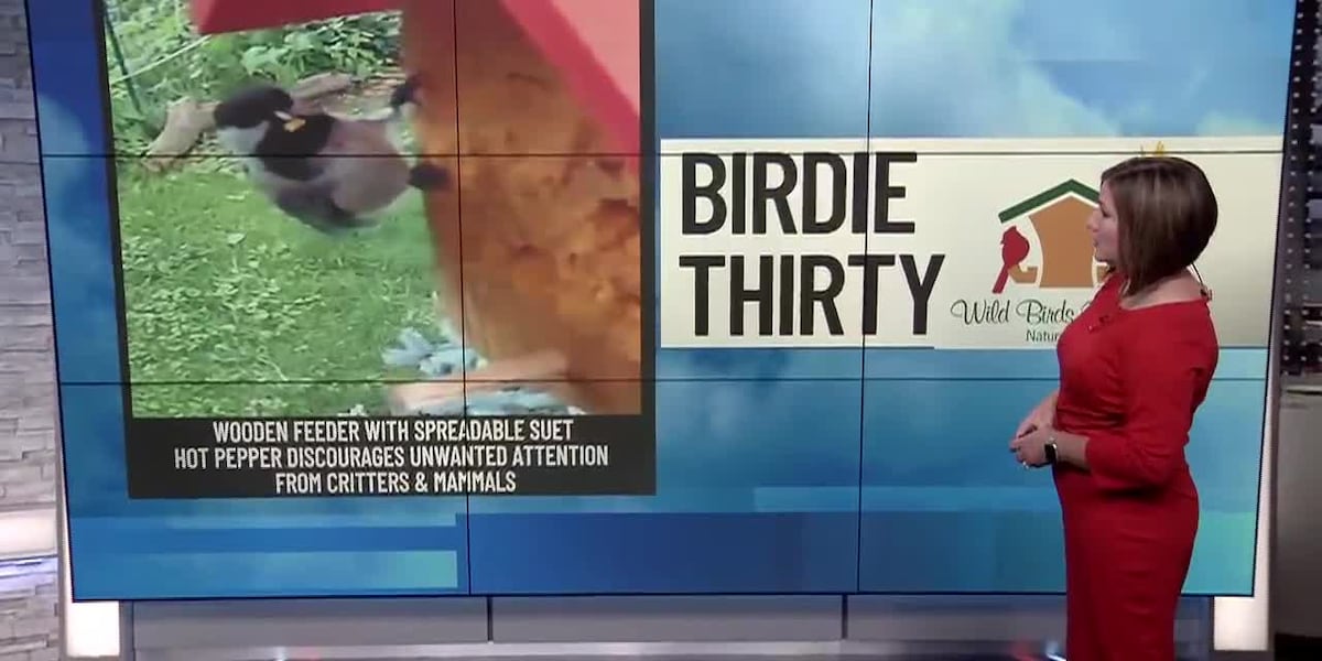 BIRDIE THIRTY: