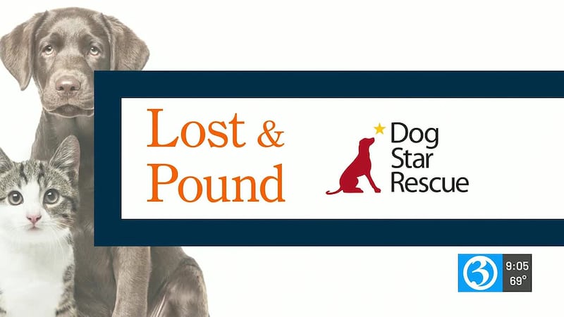 LOST & POUND: Ronan and Wren