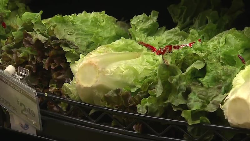 A deadly cyclospora outbreak linked to lettuce now includes cases in 15 states. (CNN, KSTU,...