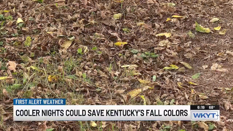 After a hot start to September, can fall foliage season be salvaged?